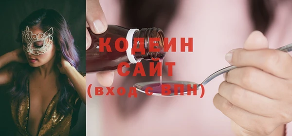 СК Няндома