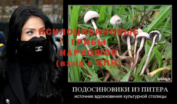 шишки Нягань