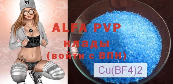 гашик Дмитриев