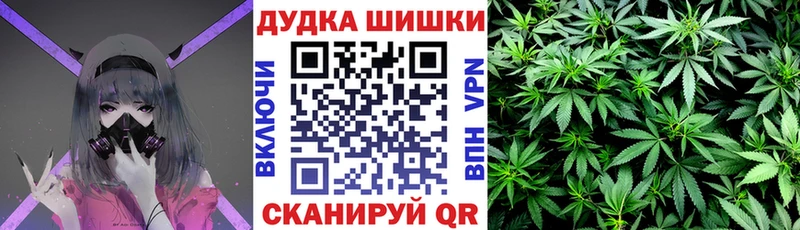 Каннабис планчик  как найти   мега ТОР  Кумертау 